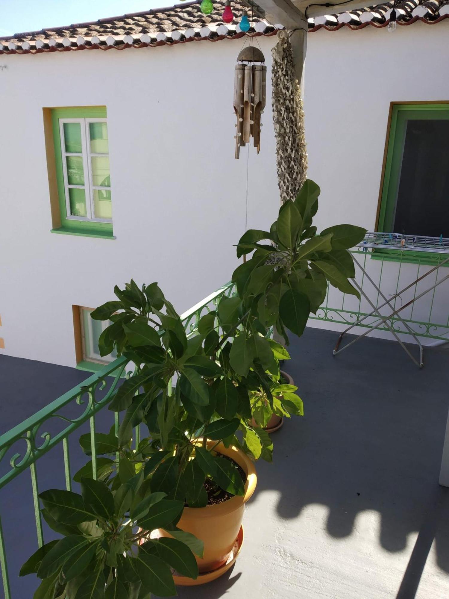 ספצס Vaggelis Traditional House מראה חיצוני תמונה